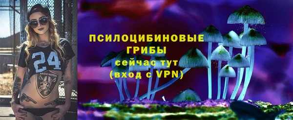 spice Абинск