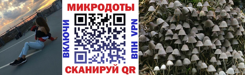 наркота  Ивантеевка  Галлюциногенные грибы MAGIC MUSHROOMS 