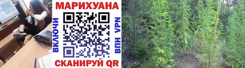 где продают наркотики Ивантеевка Каннабис марихуана
